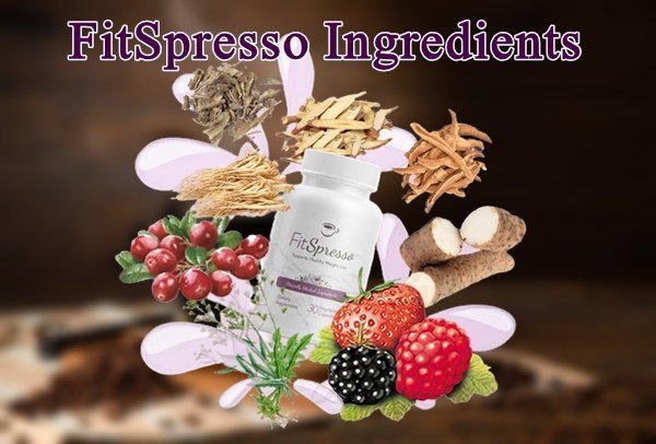 Fitspresso Ingredients