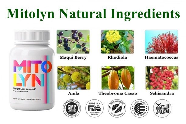 Mitolyn Ingredients